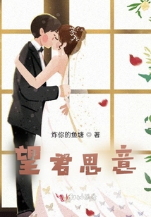 望君思意