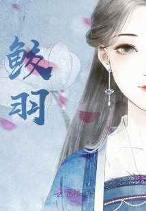 鮫羽