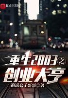 重生2003之创业大亨在线阅读