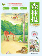 森林报:春(彩色插图版)在线阅读