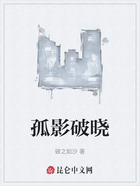 孤影破晓在线阅读