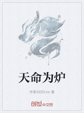 天命为炉在线阅读