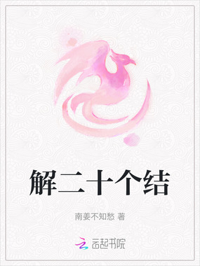 解二十个结在线阅读