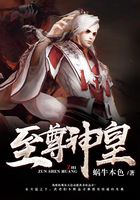 至尊神皇在线阅读
