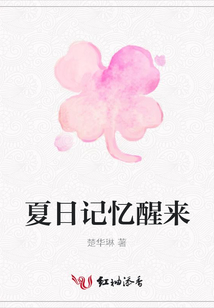 夏日記憶醒來