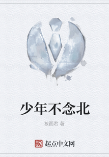 少年不念北