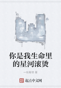 你是我生命里的星河滚烫