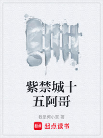 紫禁城十五阿哥