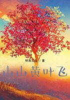 山山黃葉飛5在線閱讀