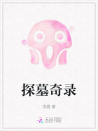 探墓奇录在线阅读