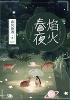 春夜焰火在線閱讀