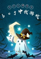 为什么我要在bug中找游戏在线阅读