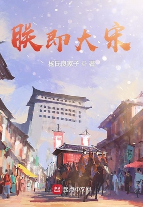 朕即大宋在线阅读