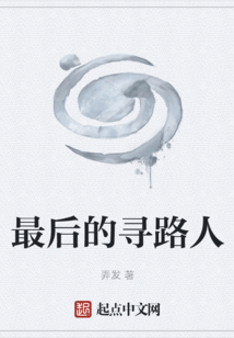 最后的寻路人