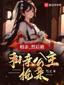 相親,然后被和親公主搶親
