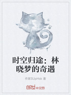 时空归途:林晓梦的奇遇在线阅读