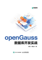 openGauss数据库开发实战在线阅读