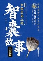 中国历史上的智囊故事:三国篇在线阅读
