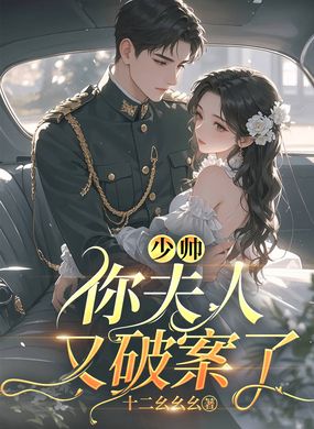 少帅，你夫人又破案了在线阅读