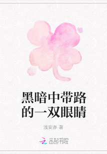 黑暗中帶路的一雙眼睛