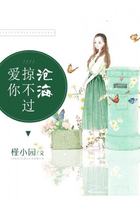 愛你掠不過滄海在線閱讀
