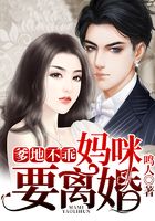 爹地不乖,妈咪要离婚在线阅读