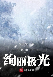 夢中的絢麗極光