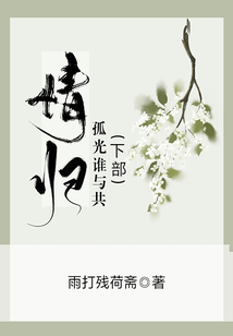 孤光谁与共（下）：情归