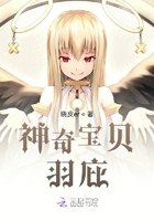 神奇宝贝：羽庇