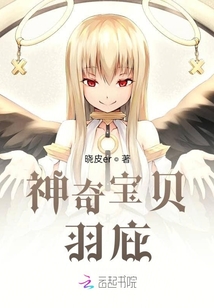 神奇寶貝：羽庇