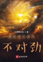 我的模擬游戲不對勁在線閱讀
