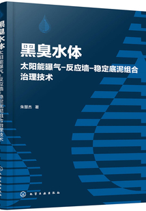 黑臭水體太陽能曝氣-反應墻-穩定底泥組合治理技術