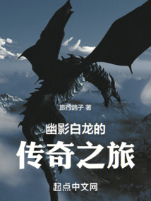 幽影白龍的傳奇之旅