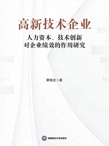 高新技術(shù)企業(yè)人力資本、技術(shù)創(chuàng)新對企業(yè)績效的作用研究