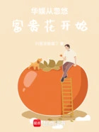 华娱从忽悠富贵花开始在线阅读