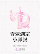 青鸾剑宗小师叔在线阅读