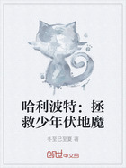 哈利波特:拯救少年伏地魔在线阅读