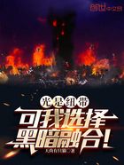 光是纽带，可我选择黑暗融合！在线阅读