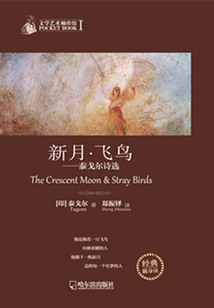 新月·飛鳥：泰戈爾詩選（文學(xué)藝術(shù)袖珍館）