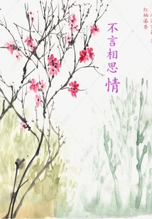 不言相思情