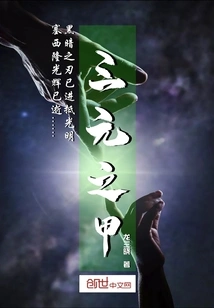 Armor of Singularity