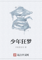 少年狂夢在線閱讀