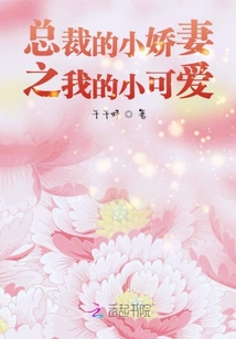 總裁的小嬌妻之我的小可愛