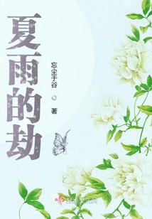 夏雨的劫