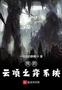 我的云頂之弈系統
