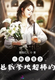 一胎三寶之總裁爹地超棒的