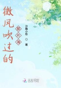 微風吹過的那片海