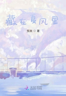秘密藏在夏風里