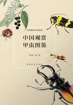 中国观赏甲虫图鉴 封面