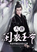 大唐闲散王爷